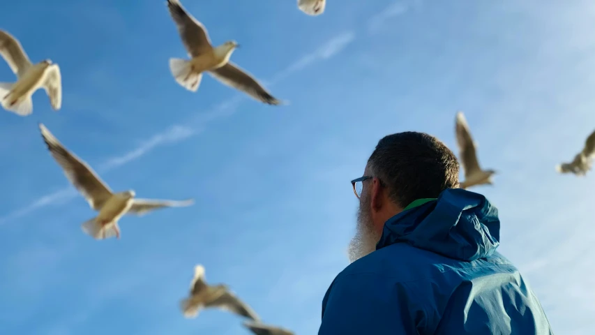 a man watching some birds flying in the air