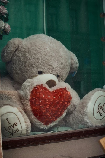 the teddy bear has been placed behind the window