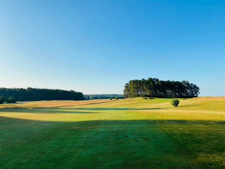 an open field with trees in the distance