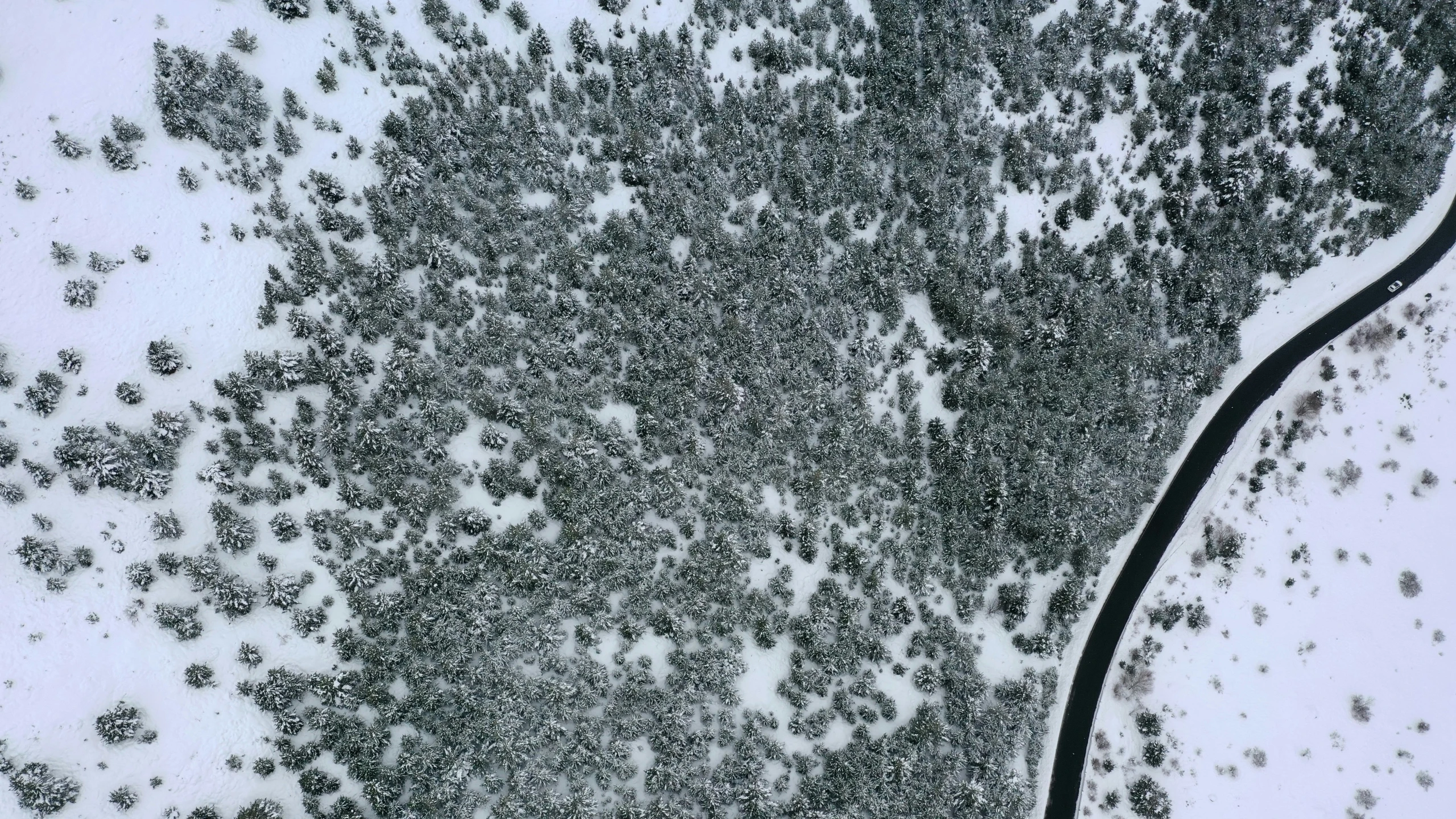 the black lines are snowing down the sidewalk