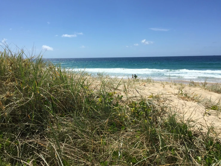 the view of the ocean from a dune in australia