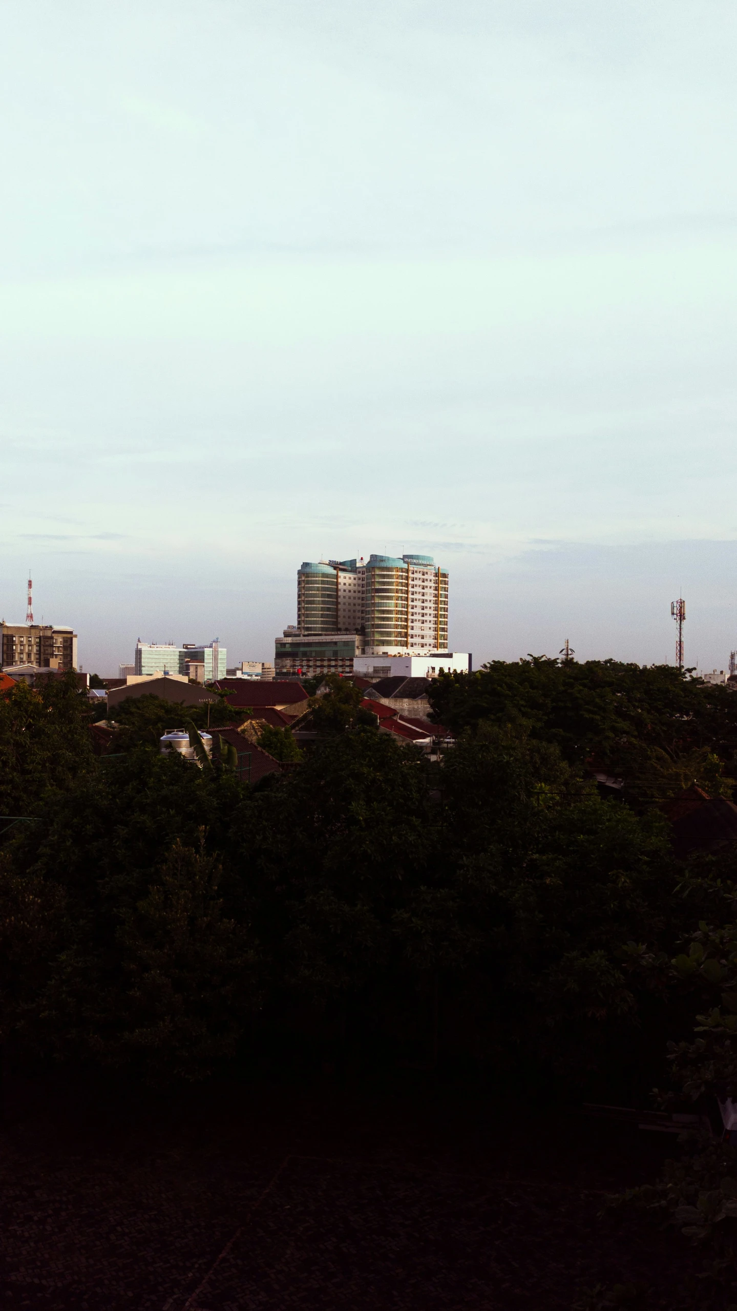 a picture of a city skyline taken out from above