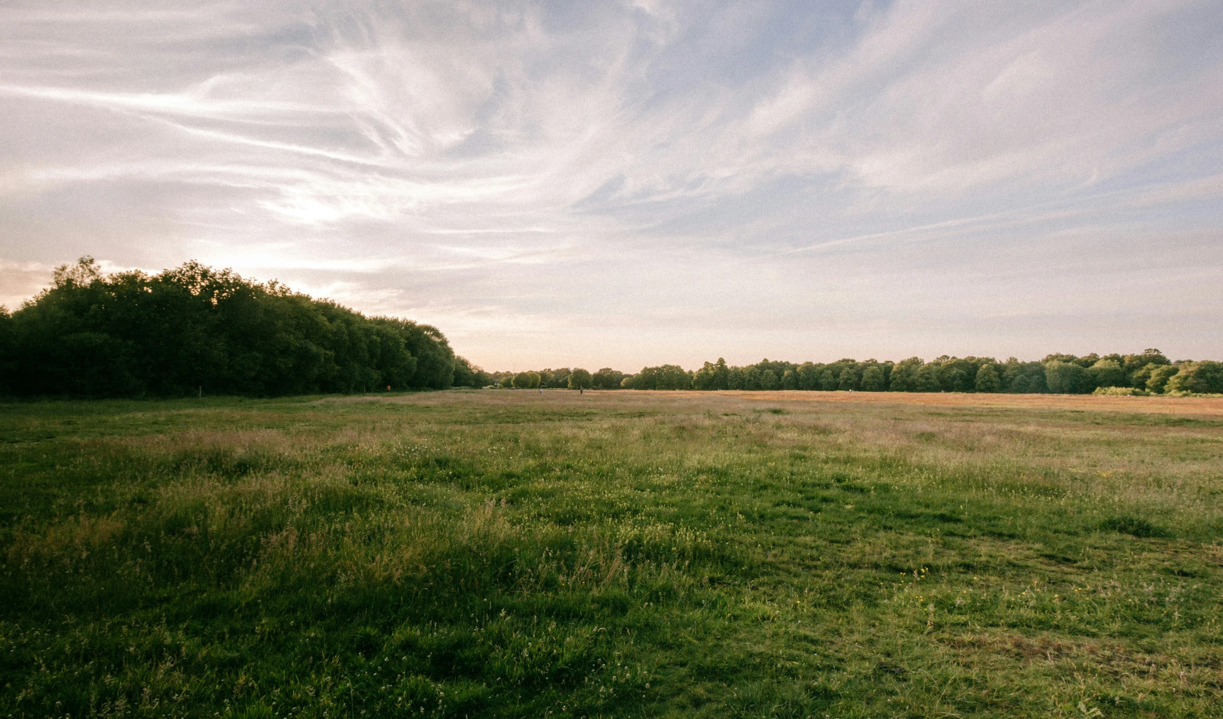 an empty field sits in a deserted place