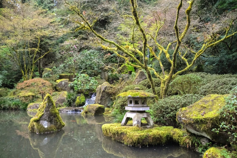 an oriental garden with moss growing along the sides