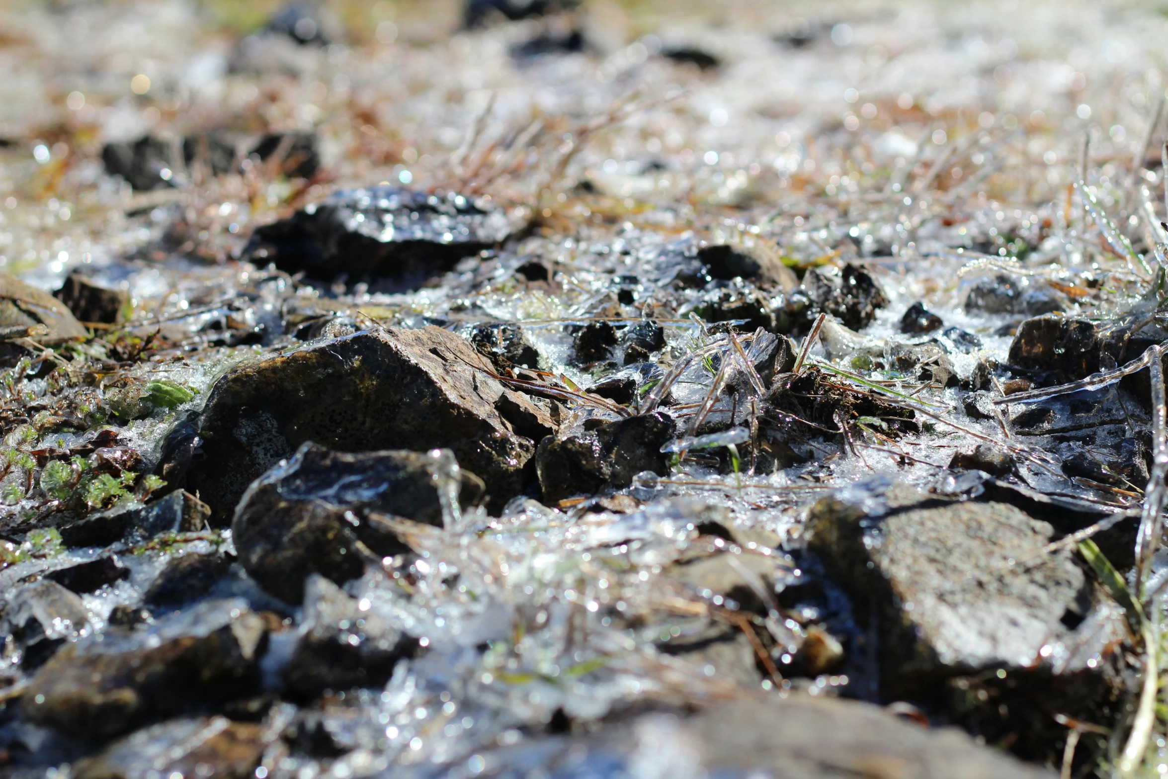 close up of several rocks in the dirt and grass