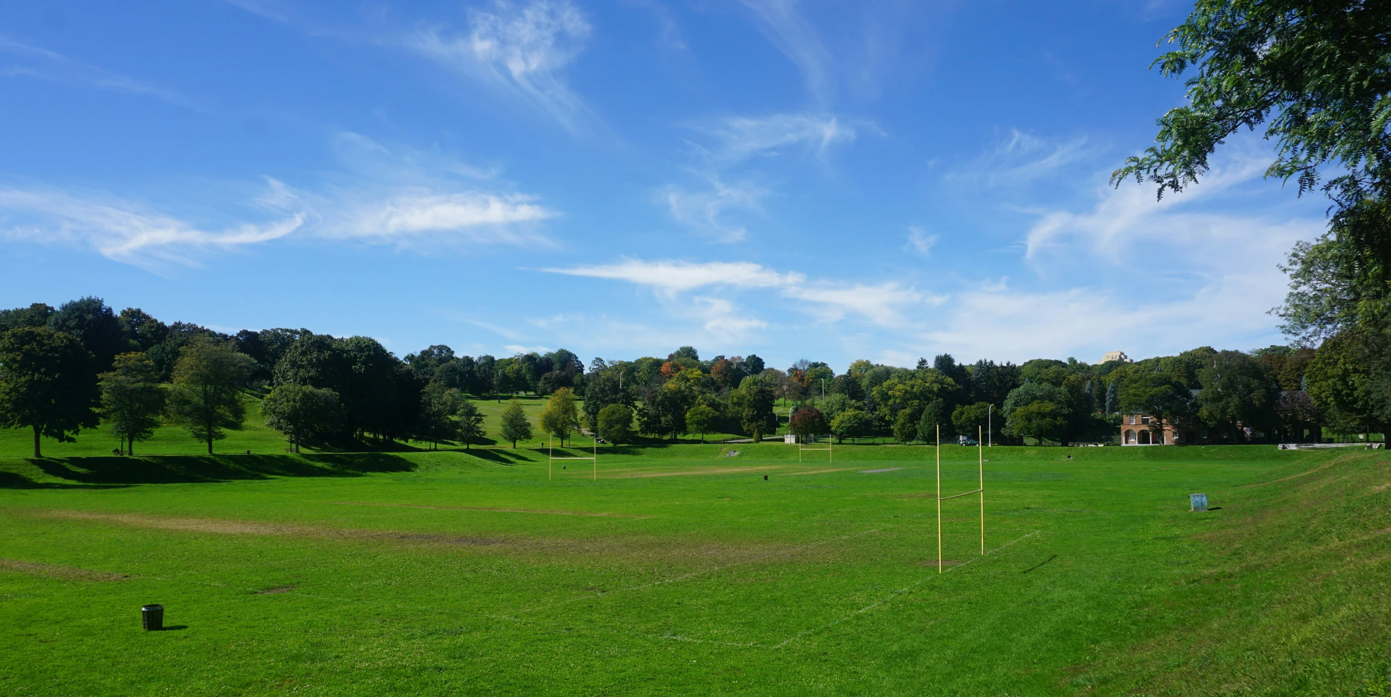 a large grassy field sitting next to trees on a hill