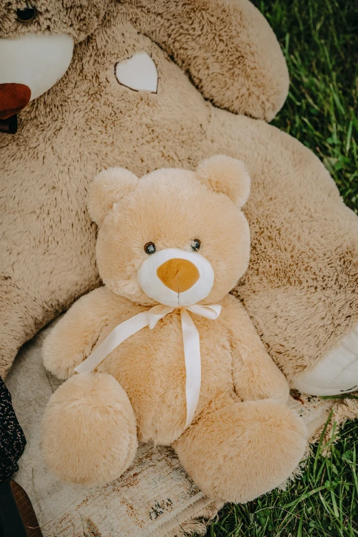 a light brown teddy bear with a white ribbon next to a smaller teddy bear