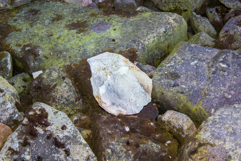 rock and moss covered area with dirt in background