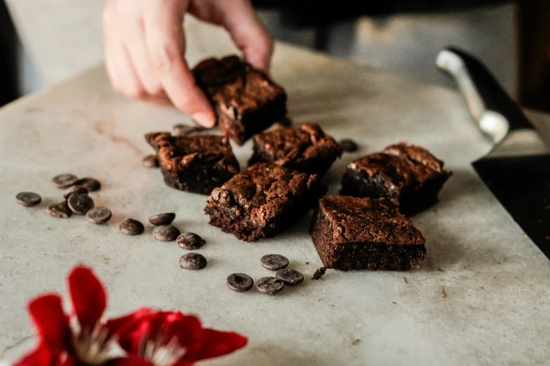 some brownies have been cut up on a plate