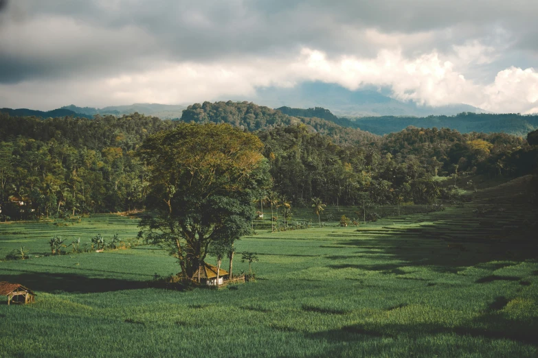 an open grassy area surrounded by hills, trees and clouds