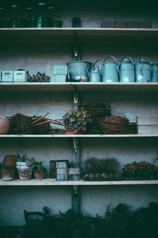 several shelves filled with pots, plants and other items