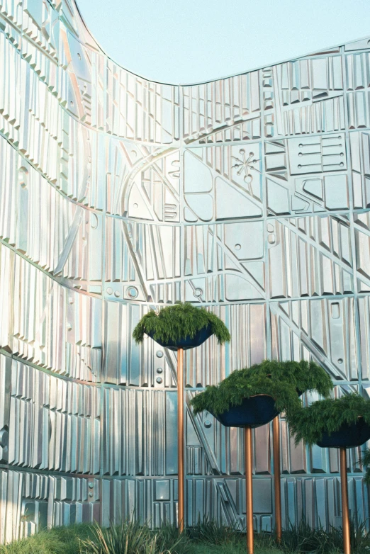 tall silver trees and grass in front of a building