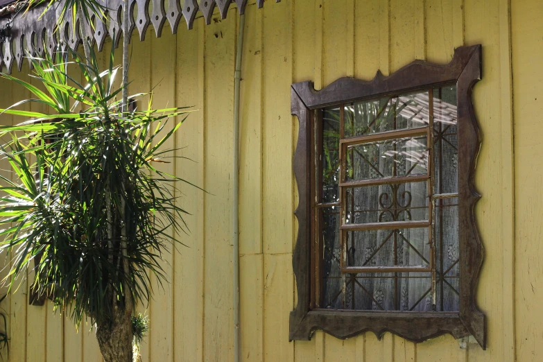 a wall has some plants and a window