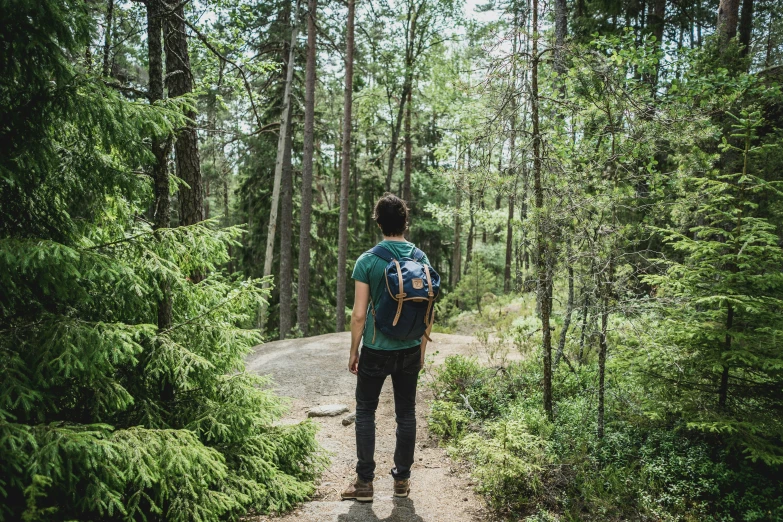 a man hiking through a lush green forest