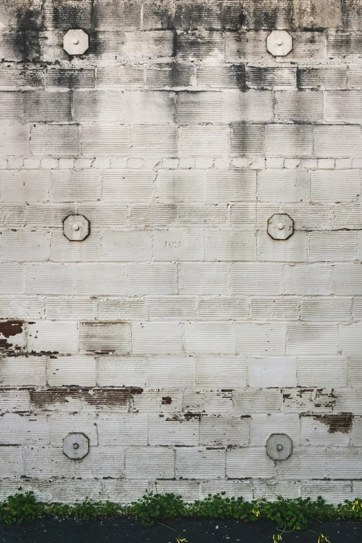 two men with luggage walking against an old brick wall