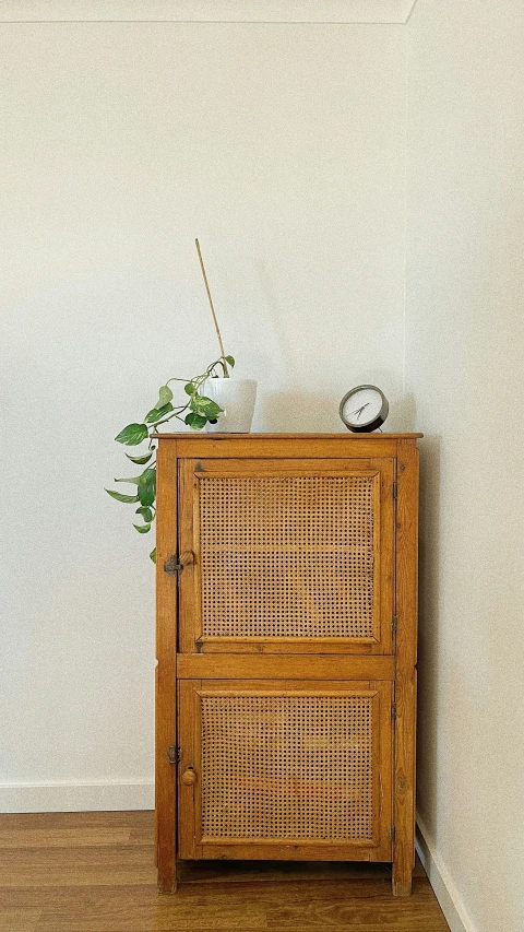 a small wooden cabinet with a clock and potted plant