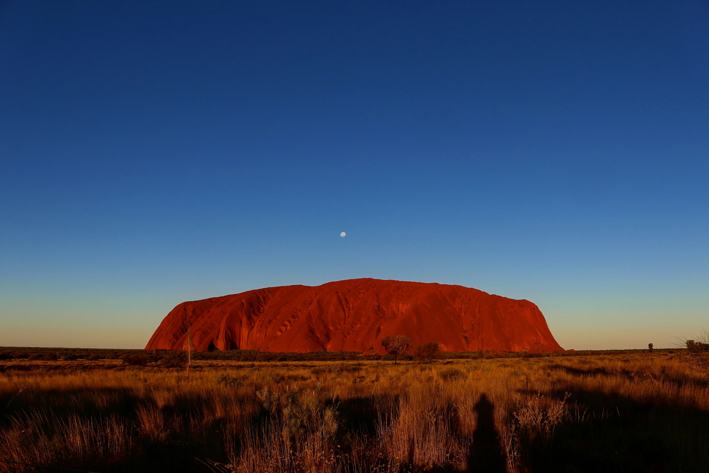 a large rock in the distance and a clear blue sky