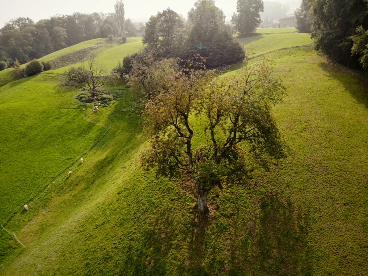 this is a view of an open area with trees