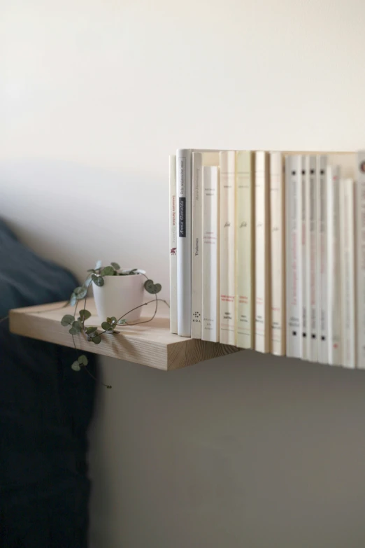 some white books on a shelf with plant sitting on top