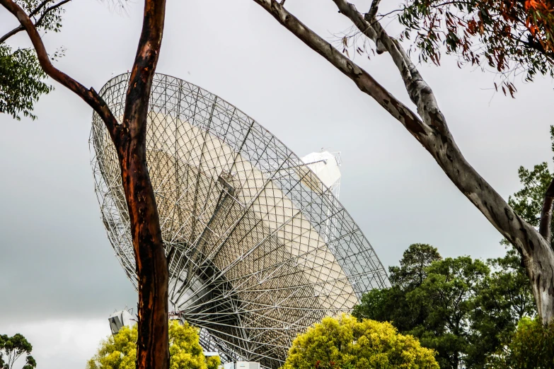 the large satellite dish sits between trees on a cloudy day