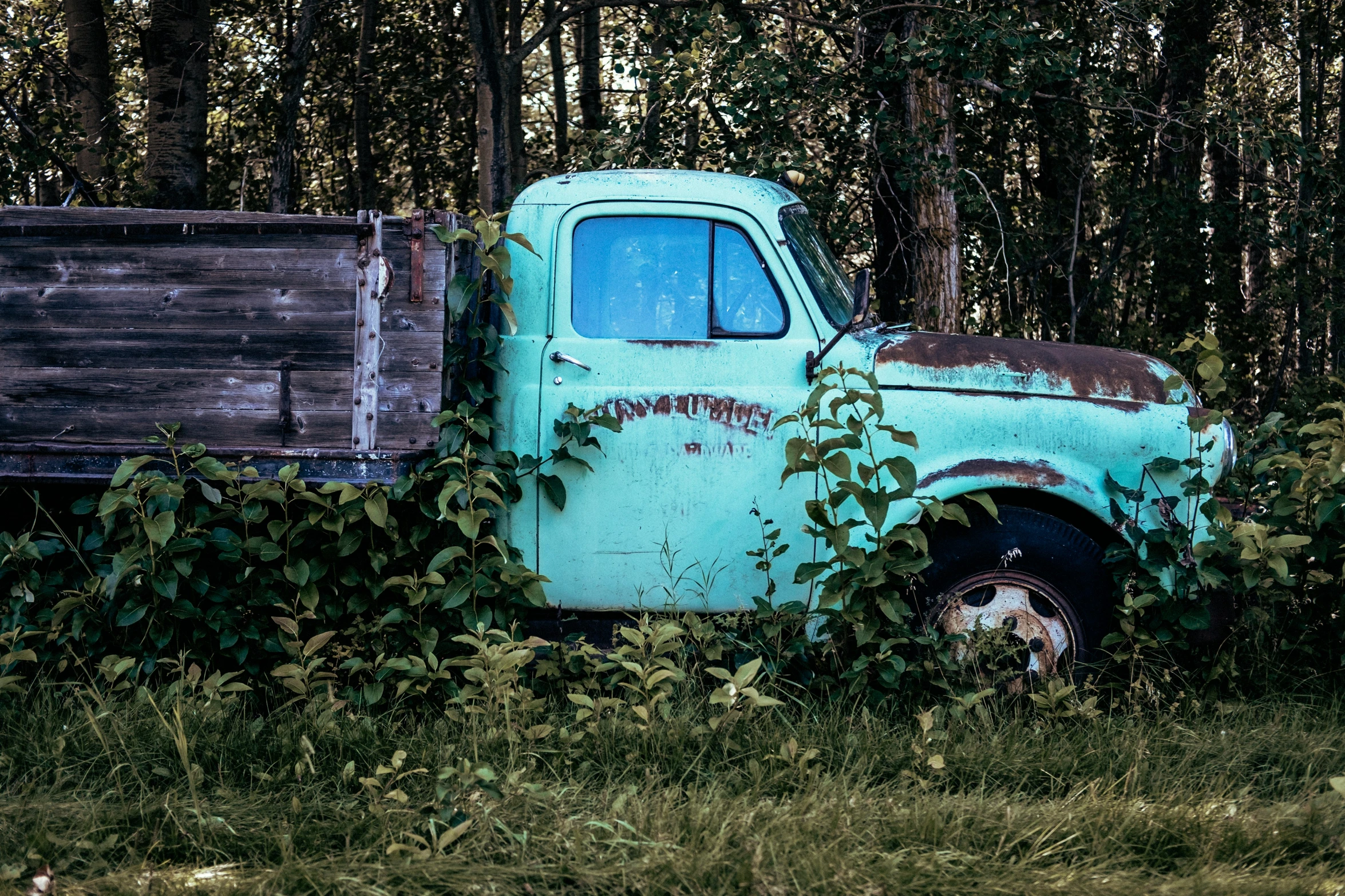 an old truck is overgrown in front of trees