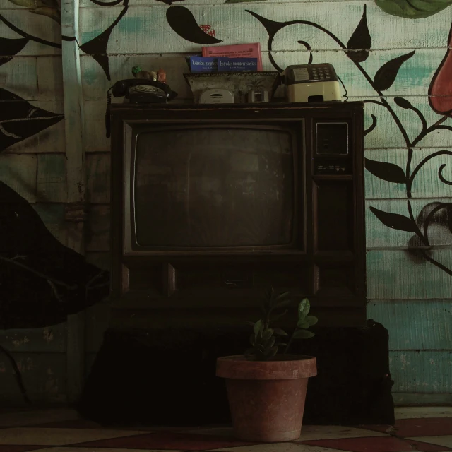 a brown television sitting next to a potted plant