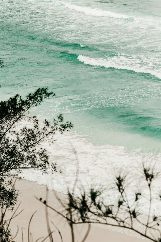 an ocean view is shown through trees from above