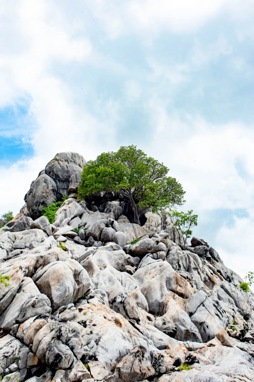a very large rocky hill with a tree on top