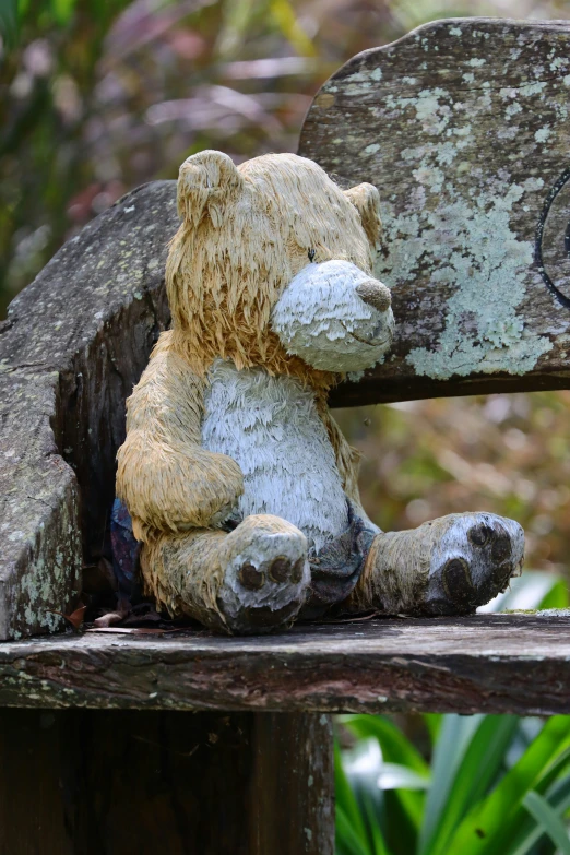 a brown teddy bear sitting on a bench