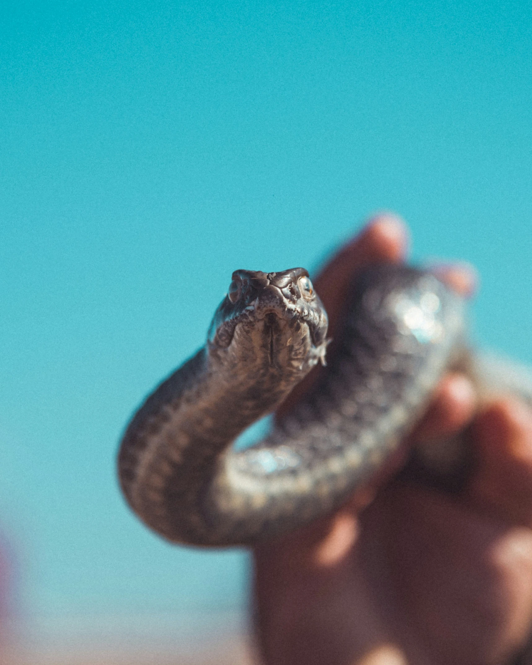 a close up of a hand holding a co