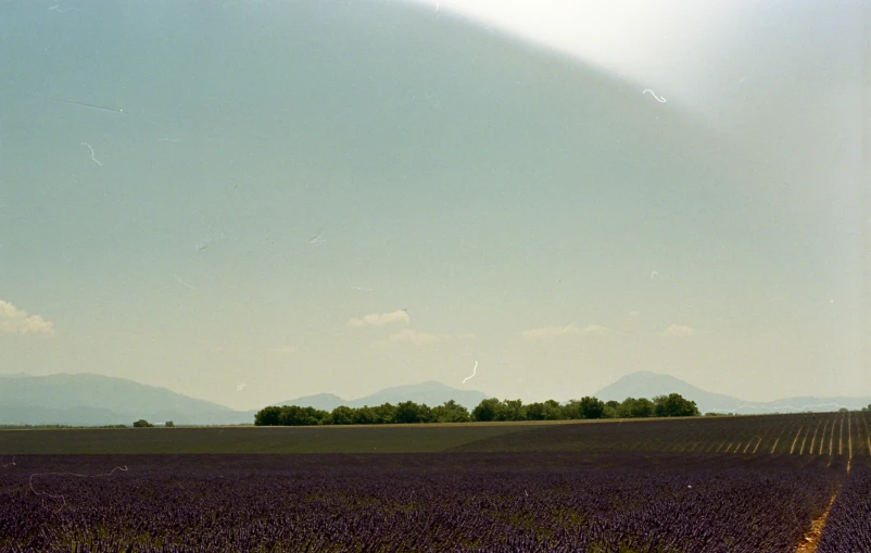 a man flying his kite in a vast open field