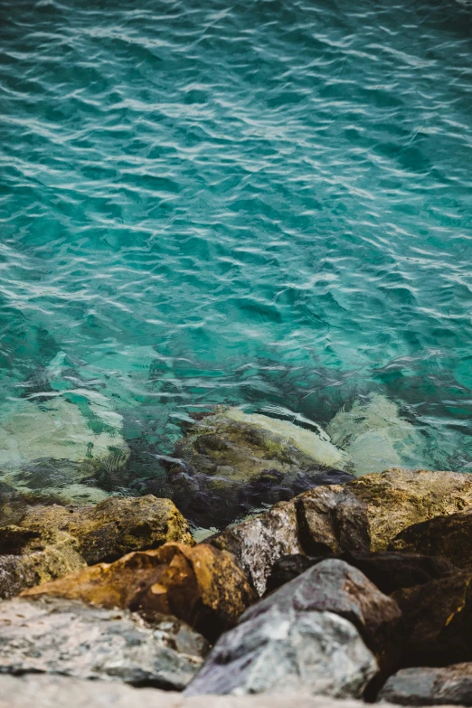 two birds standing on some rocks in the water