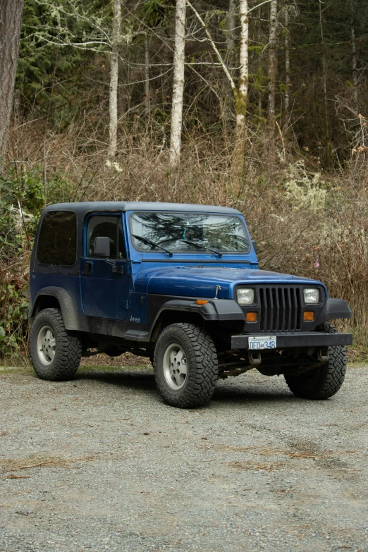a very pretty blue jeep in a forest