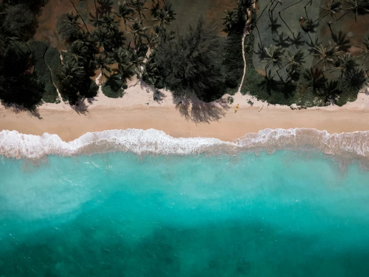 an aerial view of blue ocean and beach with palm trees