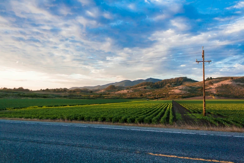 a country road near an industrial farm land