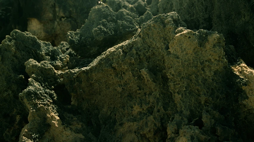 rocks of various sizes and shapes on the beach