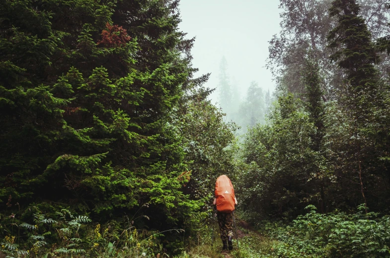 an orange jacketed woman walks through the woods