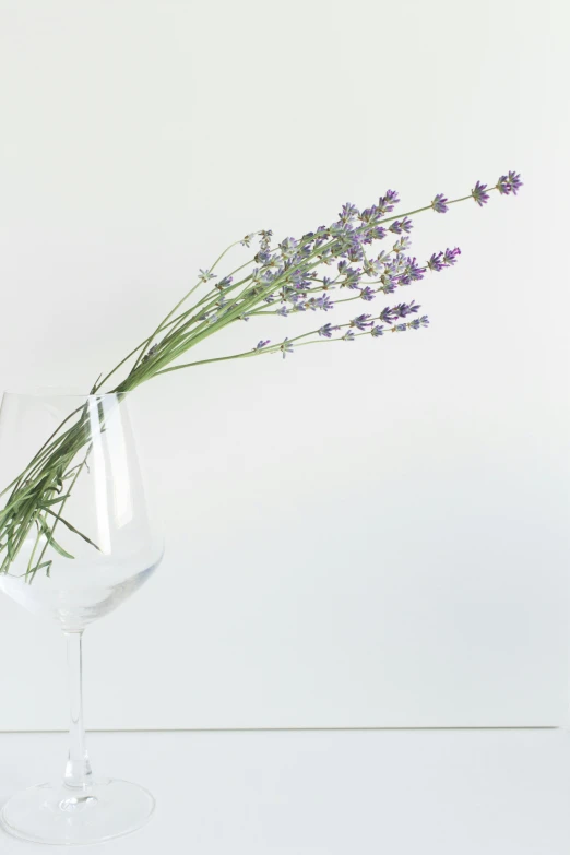 a single vase of lavender sprig in the water on top of the wine glass