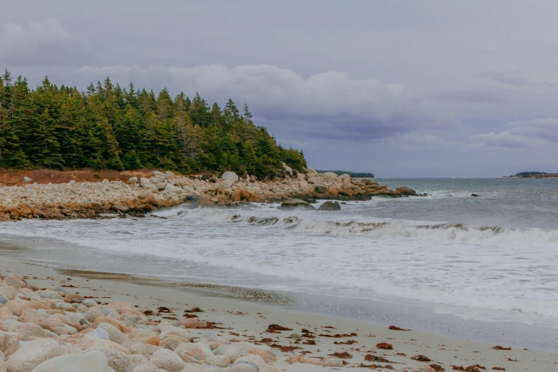 waves crashing on sandy shore with trees in the background