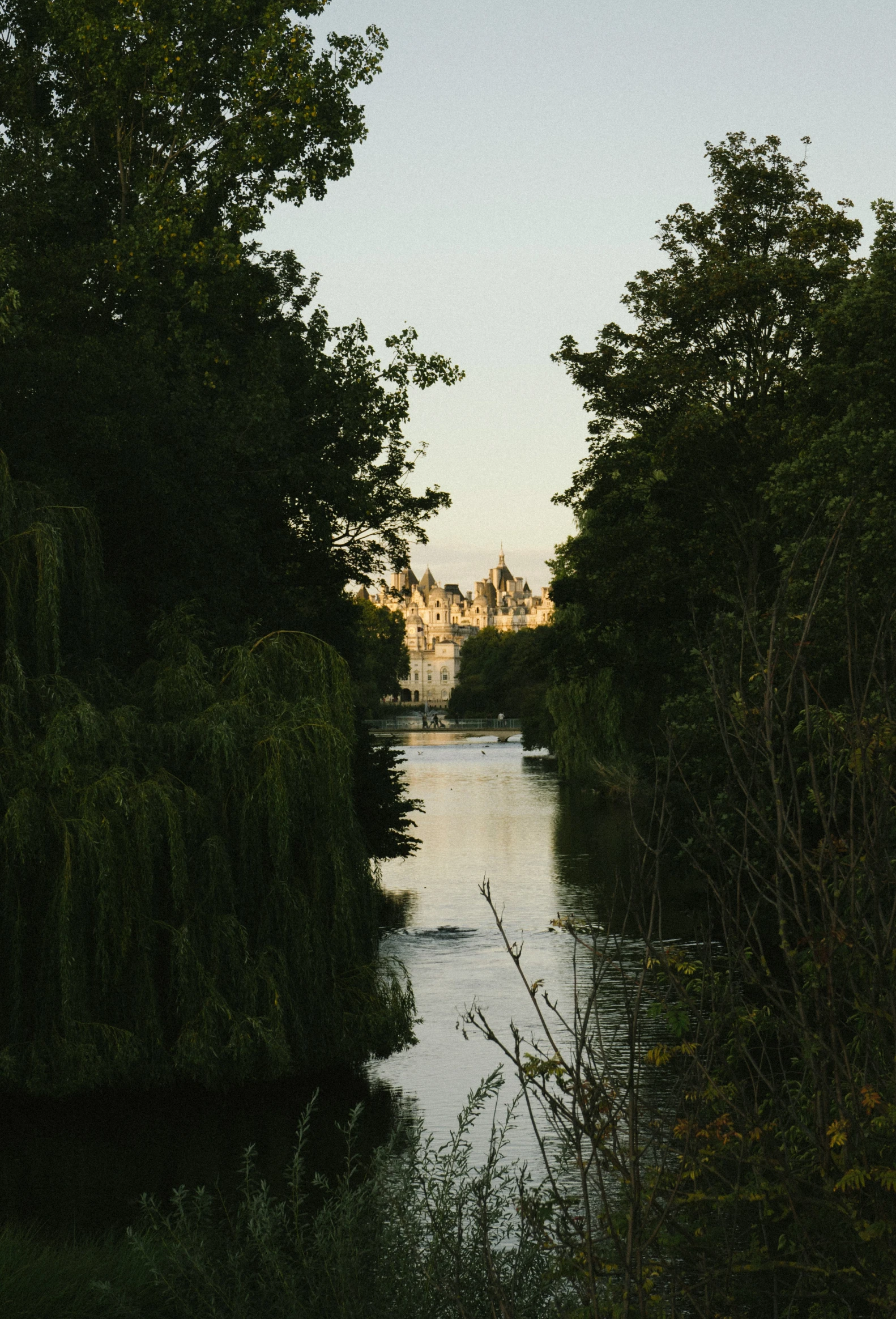 the river running alongside trees is very wide