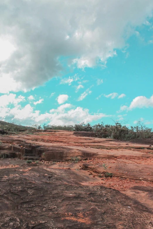 a dirt road next to a brown patch of land