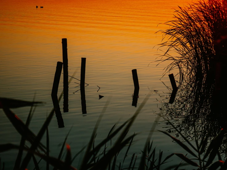 a boat sitting in the water during sunset