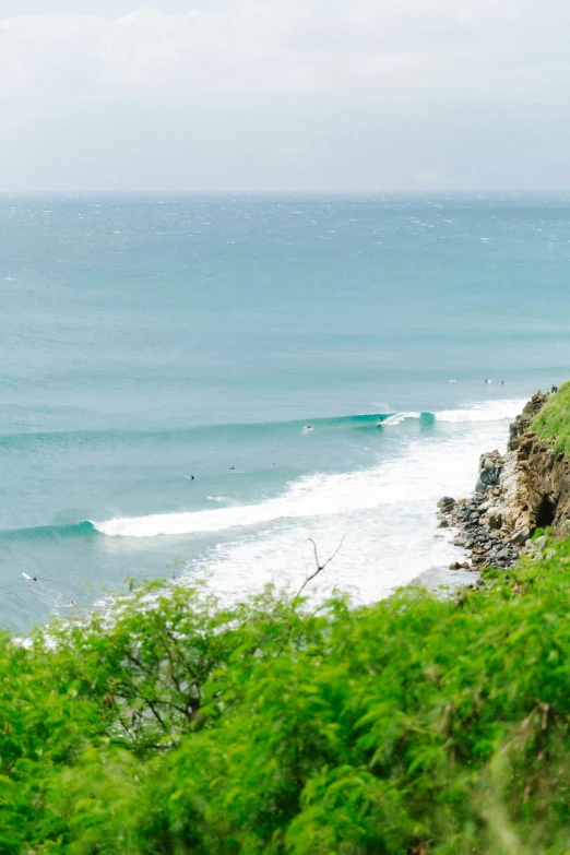 a grassy hill near the ocean overlooks the blue surf