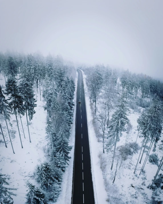 a long stretch of road surrounded by snowy trees