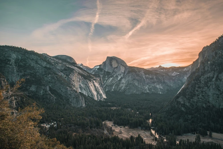 a beautiful valley with lots of pine trees