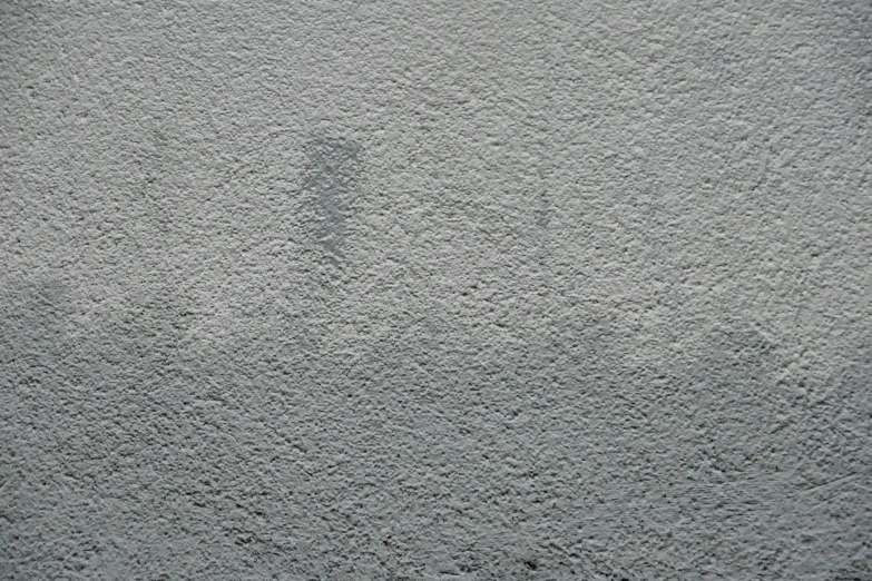 a black and white po of a wall with a bird standing in the corner