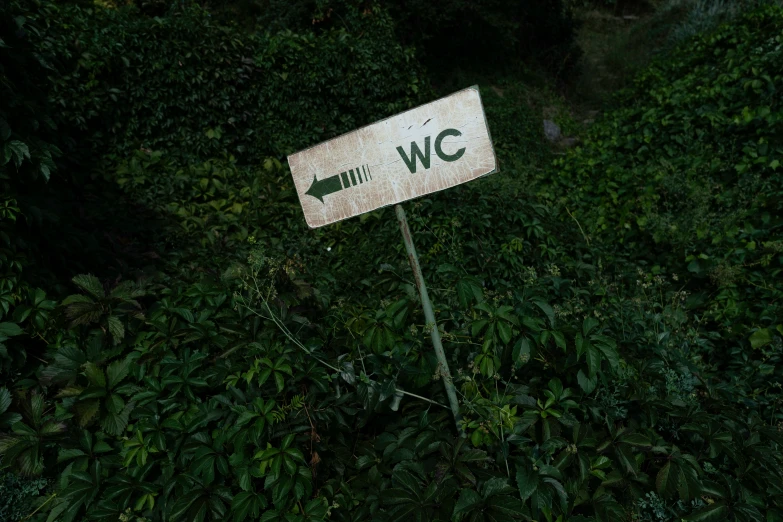 a white street sign sitting in the middle of a forest