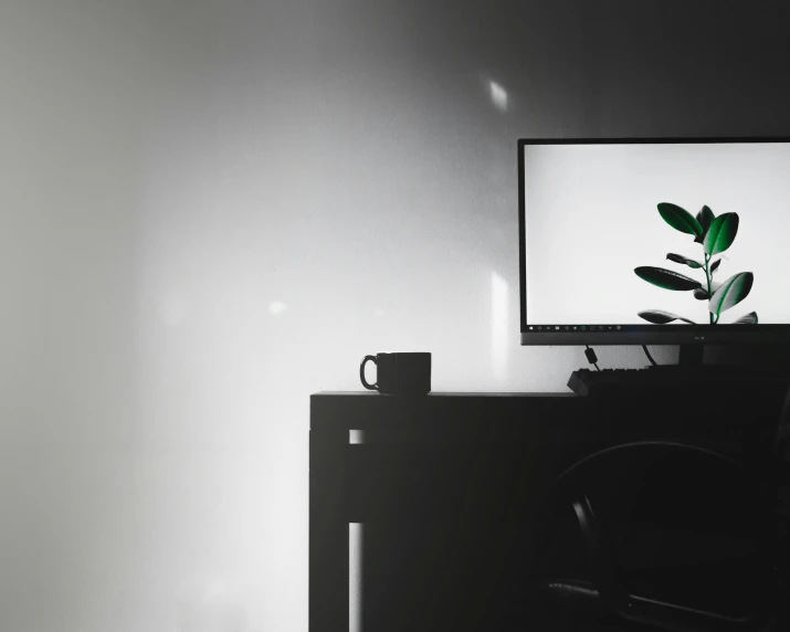 the television is turned on and the plant is sitting in a black chair