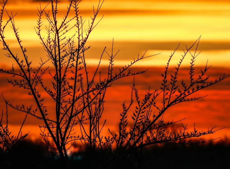 a sunset or sunrise as seen from the horizon