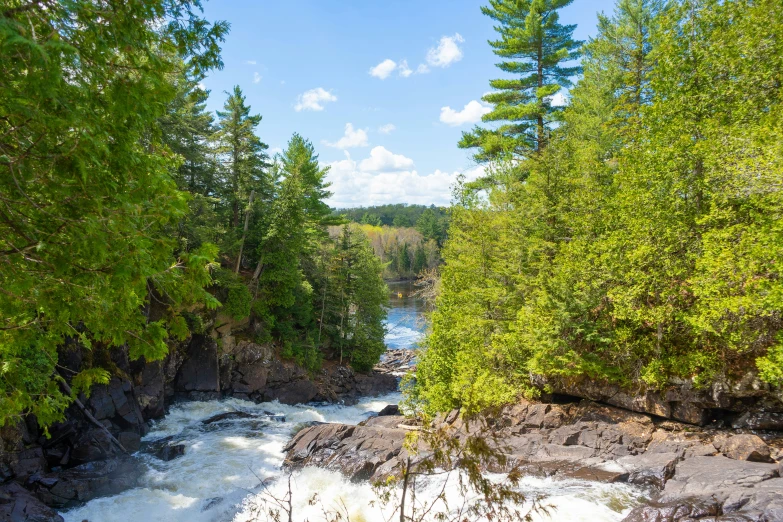 a river running through the center of a forest